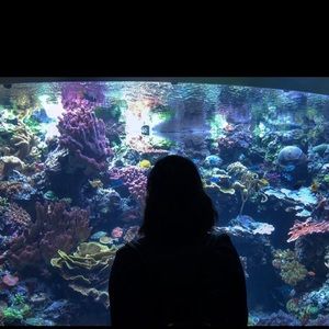 Meet your Posher, Jasmine